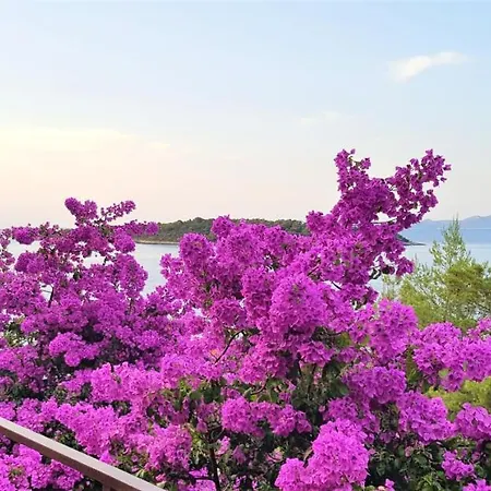 Apartment Ena By The Sea Prizba