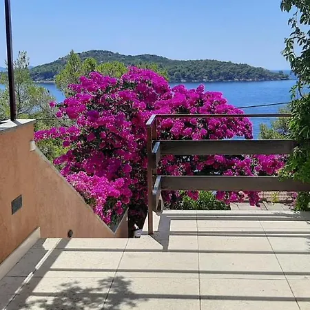Ena By The Sea
