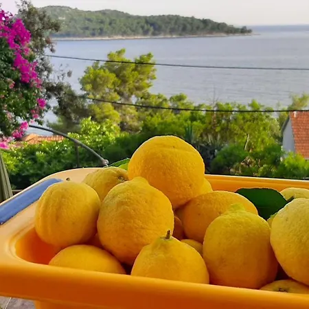 Ena By The Sea Prizba