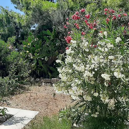 Lägenhet Ena By The Sea