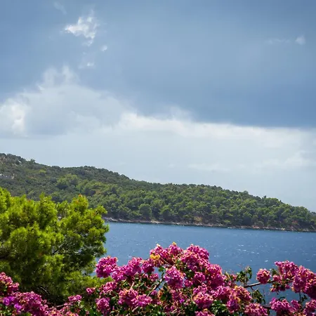 Ena By The Sea *