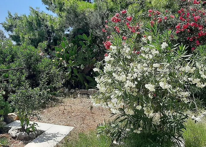 Apartman Ena By The Sea